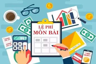 764.000 người nộp thuế còn nợ lệ phí môn bài: Những trường hợp nào thuộc diện xử lý?