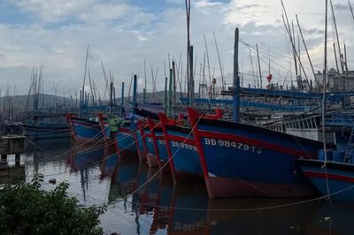 Gia Lai và 12 tỉnh ven biển chủ động ứng phó gió giật cấp 9, sóng cao 4 m