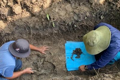 Quy tập 5 hài cốt liệt sĩ tại phường An Nhơn Bắc
