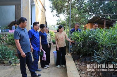 Thấy tận mắt, học tận nơi