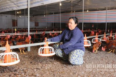 Tái đàn gắn với phòng bệnh
