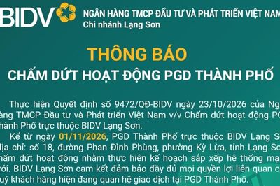 THÔNG BÁO CHẤM DỨT HOẠT ĐỘNG PGD THÀNH PHỐ