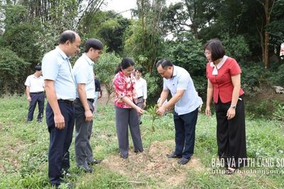 Kiểm tra việc thực hiện Nghị quyết số 24 tại các phường