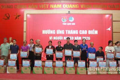 Tỉnh đoàn tổ chức hoạt động xây dựng nông thôn mới tại xã Đồng Đăng