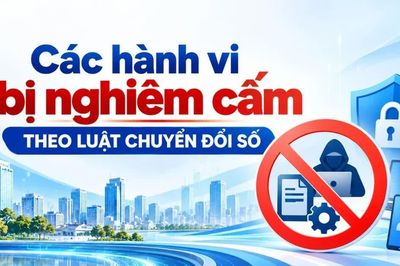 Các hành vi bị nghiêm cấm theo Luật Chuyển đổi số