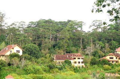 'Đánh thức' nguồn lực từ những biệt thự công Đà Lạt