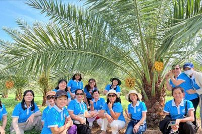 Giúp phụ nữ tìm hướng phát triển kinh tế