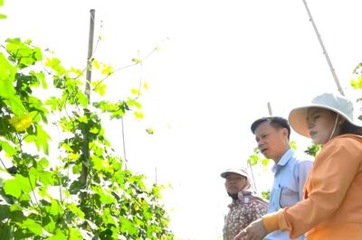 Cư Jút khơi nguồn lực giảm nghèo