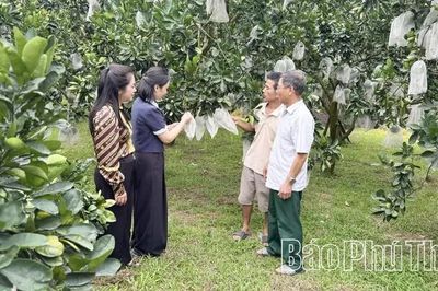 “Giấy thông hành” đưa nông sản vươn xa