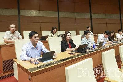 Quốc hội thảo luận ở hội trường về các dự án Luật Đất đai (sửa đổi), Luật Phát triển doanh nghiệp nhỏ và vừa