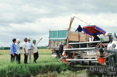 'Đặt hàng' từ đồng ruộng