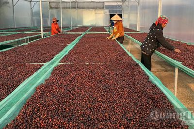 Từ phụ phẩm đến nguồn tài nguyên giá trị