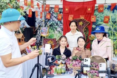 Đồng hành cùng hợp tác xã phát triển