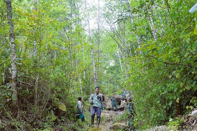 Giữ màu xanh trên dải Tây Côn Lĩnh