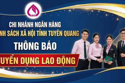 Chi nhánh Ngân hàng Chính sách xã hội tỉnh Tuyên Quang thông báo tuyển dụng lao động