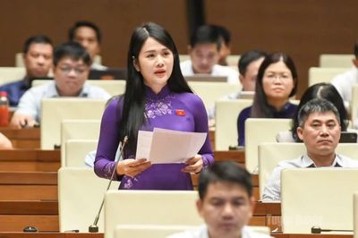Đại biểu Quốc hội Vương Thị Hương góp ý Luật Phát triển doanh nghiệp nhỏ và vừa