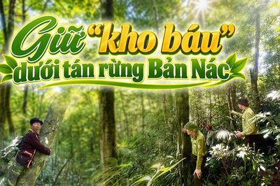 Giữ 'kho báu' dưới tán rừng Bản Nác