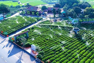 Thái Nguyên – Bản tình ca của lòng đất và sắc trà