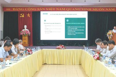 Bàn giải pháp nâng cao hiệu quả hoạt động của hợp tác xã lâm nghiệp