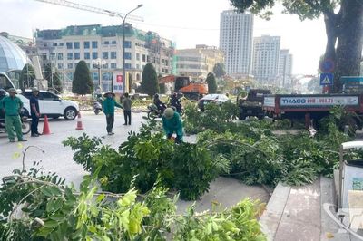 Thái Nguyên chỉnh trang đô thị, bảo đảm mỹ quan phục vụ các sự kiện lớn
