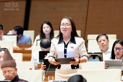 ĐBQH: Không thể để quy hoạch kéo dài vô thời hạn khiến dân bị hạn chế quyền sử dụng đất