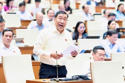 ĐBQH đề nghị miễn tiền sử dụng đất cho hộ nghèo, cận nghèo là người dân tộc thiểu số