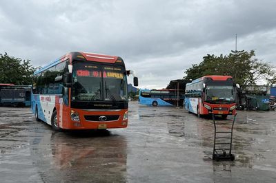 Quảng Ngãi: Nâng cao chất lượng dịch vụ vận tải, góp phần thúc đẩy phát triển du lịch