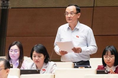 Đại biểu quốc hội: Định giá đất không thể chỉ nhìn vào nguồn thu ngân sách