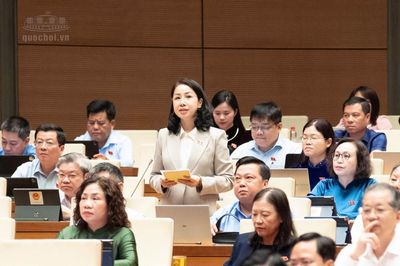 ĐBQH: Tạo điều kiện để hàng triệu 'chim sẻ của nền kinh tế' phát triển