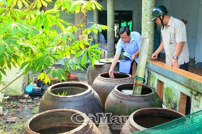 Xã Năm Căn đồng loạt ra quân chiến dịch diệt lăng quăng phòng, chống sốt xuất huyết