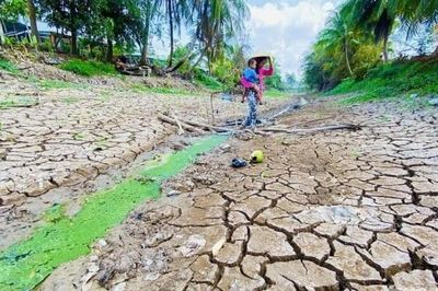 Đắk Lắk chủ động phòng chống hạn hán, bảo vệ sản xuất nông nghiệp mùa khô năm 2026–2027