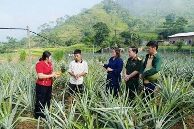 Tuyên Quang: ã Thuận Hòa tạo đà phát triển kinh tế từ nông nghiệp, lâm nghiệp và du lịch