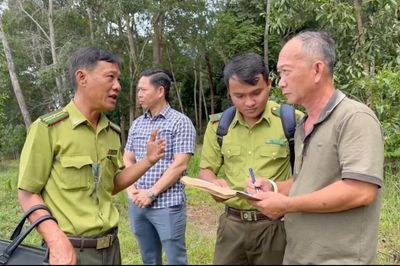 Sau chỉ đạo của ông Đinh Văn Nơi, kiểm lâm tiếp cận 377 hồ sơ lấn chiếm đất rừng