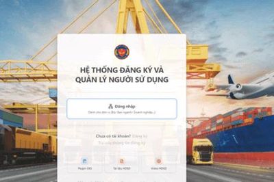 Hải quan sẽ khóa tài khoản khai báo của doanh nghiệp chưa làm sạch dữ liệu sau ngày 31-12-2026