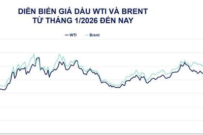 Giá dầu WTI vượt 100 USD/thùng, cà phê giảm phiên thứ 5