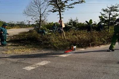 Phát quang cây cối, đảm bảo trật tự an toàn giao thông