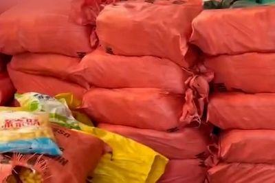 Phát hiện xe tải chở 4,5 tấn thực phẩm không rõ nguồn gốc đang đưa đi tiêu thụ