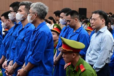 Shark Bình khai không quen biết Mr Pips