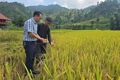 Vì một miền quê đáng sống: 'Bản Liền xanh' gọi bước chân du khách
