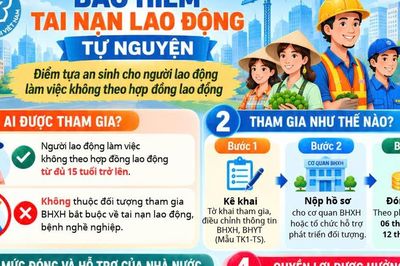 Những điều cần biết về bảo hiểm tai nạn lao động tự nguyện