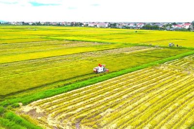 Tích tụ, tập trung đất để phát triển nông nghiệp bền vững