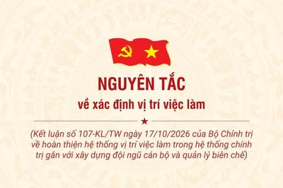 [Infographic] Nguyên tắc về xác định vị trí việc làm