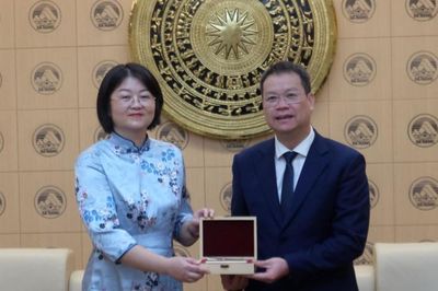 Đà Nẵng chú trọng thúc đẩy hợp tác toàn diện với các địa phương và đối tác Trung Quốc