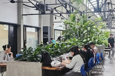 [VIDEO] Coworking ở TPHCM hút khách, giá từ 25.000 đồng