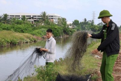 Tháo gỡ hơn 4.500m lưới bẫy chim tại Đồng bằng sông Hồng