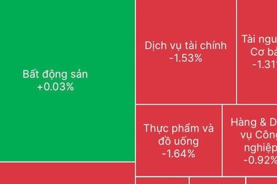Chứng khoán hôm nay 30/10/2026: VN-Index giảm gần 14 điểm, sắc đỏ lan rộng