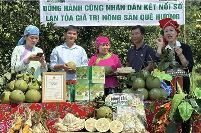 Mở đường cho kinh tế số vùng cao: Cách Báo và Phát thanh, Truyền hình Lào Cai đồng hành cùng bản làng