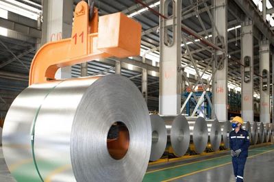 Tập đoàn Hoa Sen lợi nhuận sau thuế 623 tỷ đồng, đạt kế hoạch ở phương án cao