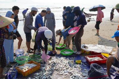 Đến Cửa Lò xem ngư dân 'dàn trận' kéo lưới rùng, đi giật lùi xúc lộc trời