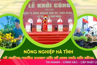 Nông nghiệp Hà Tĩnh (bài cuối): Kiến tạo động lực, nâng cao giá trị gia tăng